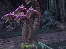 А вот и армия Dungeon - Повелителей подземелий